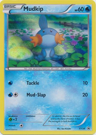Mudkip XY38 XY Black Star Promos - Promo Holo Pokemon Card