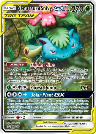 Venusaur & Snivy GX SM229 SM Black Star Promos - Promo Holo Pokemon Card